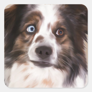 Australischer Schäferhund Ölmalerei Kunst Quadratischer Aufkleber