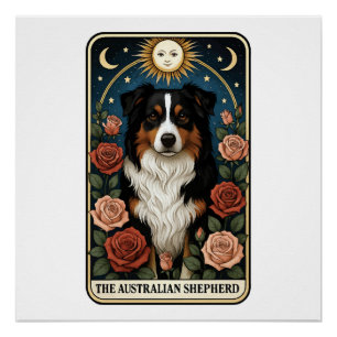 Australischer Schäferhund Poster