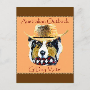 Australischer Schäferhund Postkarte