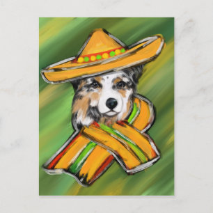 Australischer Schäferhund Postkarte