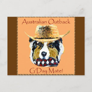 Australischer Schäferhund Postkarte