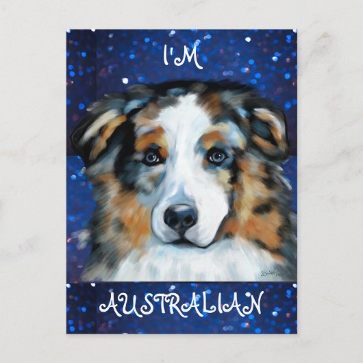 Australischer Schäferhund Postkarte (Vorderseite)