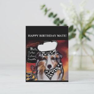 AUSTRALISCHER SCHÄFERHUND POSTKARTE
