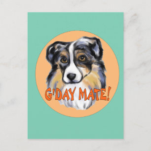 AUSTRALISCHER SCHÄFERHUND POSTKARTE