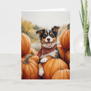 Australischer Schäferhund Pumpkin Patch Karte