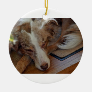 Australischer Schäferhund Red Merle schlafend Keramik Ornament