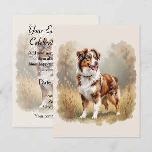 Australischer Schäferhund Rot Merle Aussie Einladung