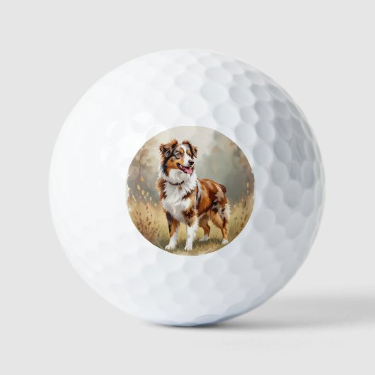 Australischer Schäferhund Rot Merle Aussie Golfball (Vorderseite)