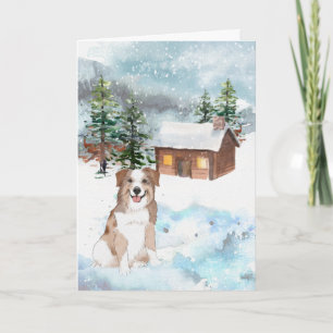 Australischer Schäferhund (Rot) Weihnachtskarte Karte