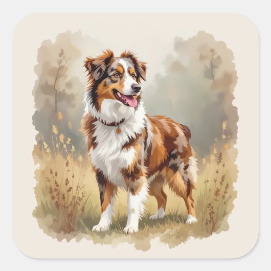 Australischer Schäferhund Roter Merle Aussie Quadratischer Aufkleber (Vorderseite)