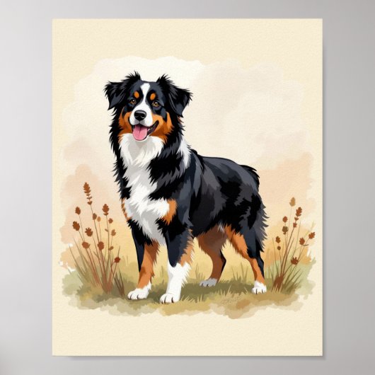 Australischer Schäferhund Schwarz Tricolor Aussie  Poster (Vorne)