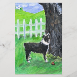 Australischer Schäferhund sieht Eichhörnchen