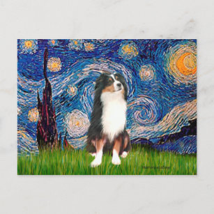 Australischer Schäferhund (Tri2) - Sternennacht Postkarte