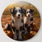 Australischer Schäferhund Welpe Autumn Delight Pum Button (Vorderseite)