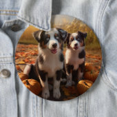 Australischer Schäferhund Welpe Autumn Delight Pum Button (Beispiel)