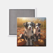 Australischer Schäferhund Welpe Autumn Delight Pum Magnet (Vorderseite/Rückseite)