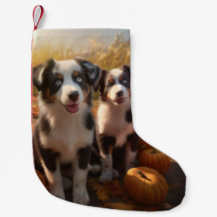 Australischer Schäferhund Welpe Herbstfreude Kürbi Kleiner Weihnachtsstrumpf