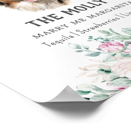 Australischer Schäferhund-Zeichen Poster (Ecke)