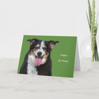 Australischer Schäferhund zum Geburtstag durch Fok Karte