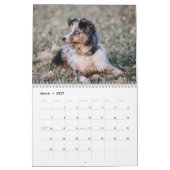 Australischer Schäferkalender 2026 Kalender (Mär 2027)