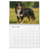 Australischer Schäferkalender 2026 Kalender (Jan 2027)