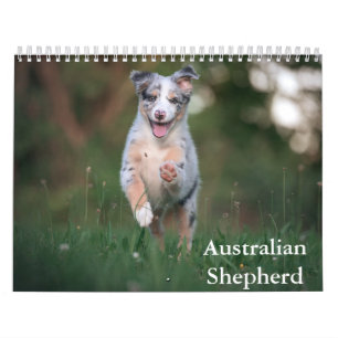 Australischer Schäferkalender Kalender