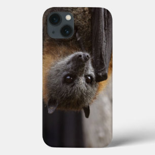 Australischer Schläger Case-Mate iPhone Hülle