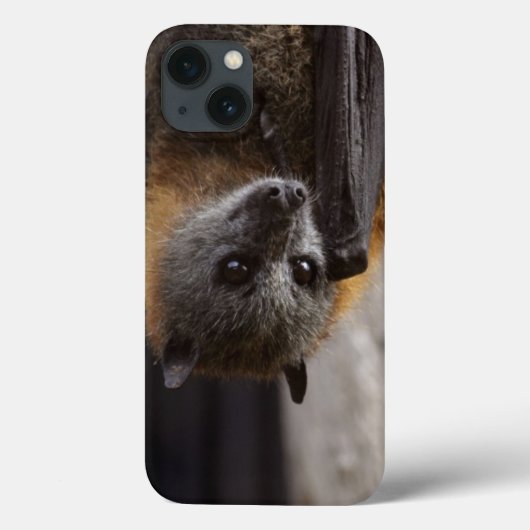 Australischer Schläger Case-Mate iPhone Hülle (Rückseite)