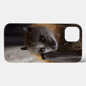 Australischer Schläger Case-Mate iPhone Hülle (Rückseite (Horizontal))