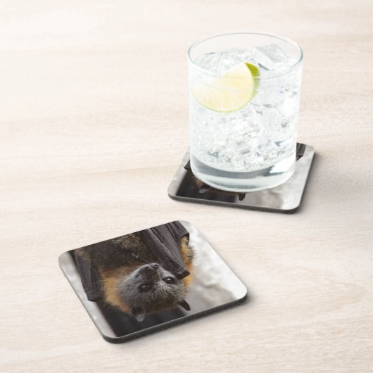 Australischer Schläger Getränkeuntersetzer (Rechte Seite)