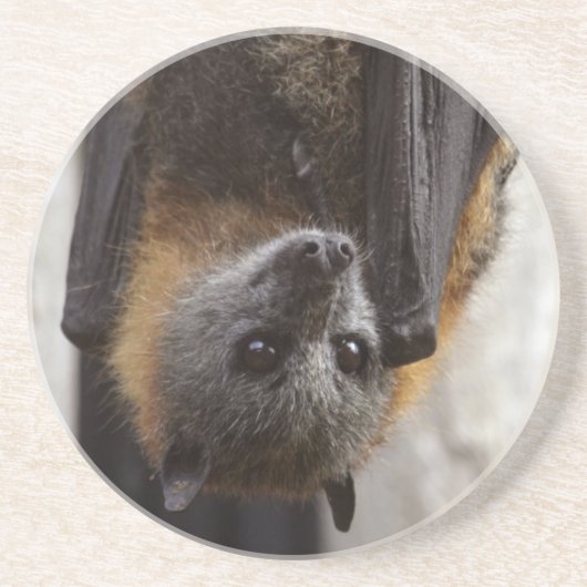 Australischer Schläger Getränkeuntersetzer (Vorne)