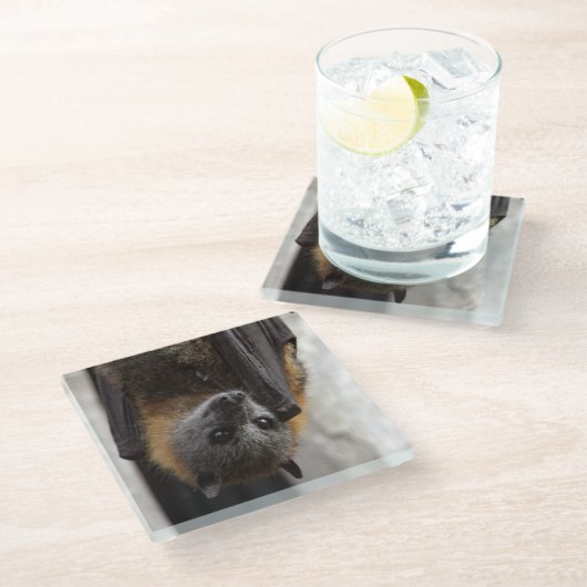 Australischer Schläger Glasuntersetzer (Schrägansicht)