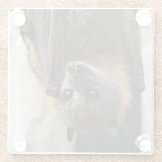 Australischer Schläger Glasuntersetzer (Rückseite)