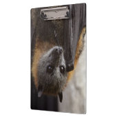 Australischer Schläger Klemmbrett (Links)