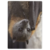 Australischer Schläger Klemmbrett (Rückseite)