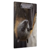 Australischer Schläger Klemmbrett (Rechts)