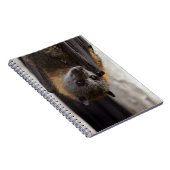 Australischer Schläger Notizblock (Rechte Seite)