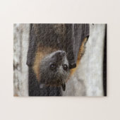 Australischer Schläger Puzzle (Horizontal)