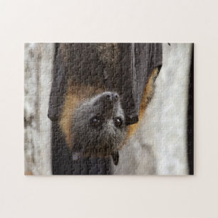 Australischer Schläger Puzzle