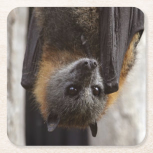 Australischer Schläger Rechteckiger Pappuntersetzer