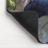 Australischer Schwarzpapagei, Mousepad (Ecke)