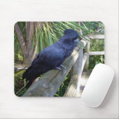 Australischer Schwarzpapagei, Mousepad (Mit Mouse)