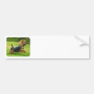 Australischer seidiges Terrier-Entwurf Autoaufkleber