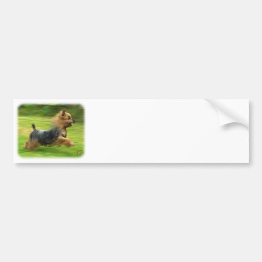 Australischer seidiges Terrier-Entwurf Autoaufkleber (Vorne)