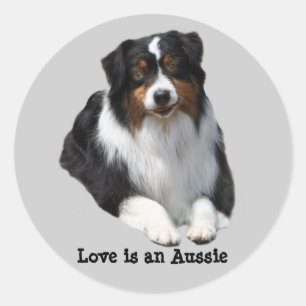 Australischer Shepherd Guardian Sticker