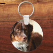 Australischer Shepherd-Schlüsselanhänger Schlüsselanhänger (Vorderseite)