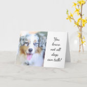 AUSTRALISCHER SHEPHERD SENDET UNS EINE GEBURTSKART KARTE (Gelbe Blume)