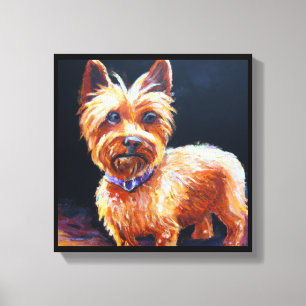 Australischer Silky Terrier - Hundeporträt Leinwanddruck