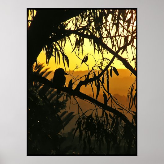 Australischer Sonnenwende-Sonnenuntergangs-Poster Poster (Vorne)
