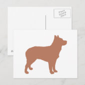 australischer Stumpy Schwanz Rind Hund Silo red.pn Postkarte (Vorne/Hinten)